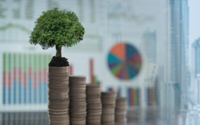 Les secrets des investisseurs pros : ce qu’ils ne vous disent jamais