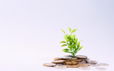 L&rsquo;économie invisible : ces marchés secrets qui font tourner la France