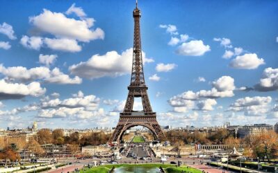 Quand les Chats Décident : Influence Féline dans les Coulisses de la Politique Parisienne