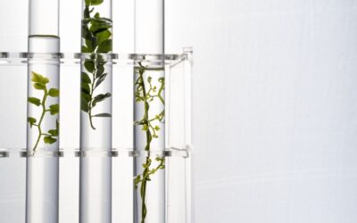 Les IA peuvent-elles développer un sens de l’humour? Le débat inattendu des scientifiques