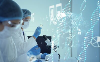 Internet : L&rsquo;Épidémie de Micro-Moments qui Fait Disparaître le Temps